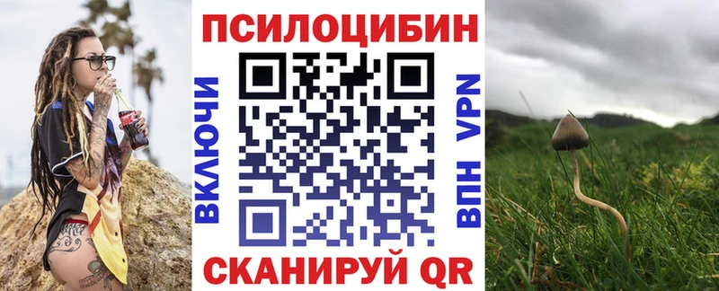 Псилоцибиновые грибы MAGIC MUSHROOMS  Купить где  Ухта 